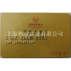 熱歐PVC證卡凸字打碼機(jī),銀行卡凸字專用打碼機(jī),會(huì)員卡凸字打標(biāo)機(jī),凸字壓號(hào)機(jī)